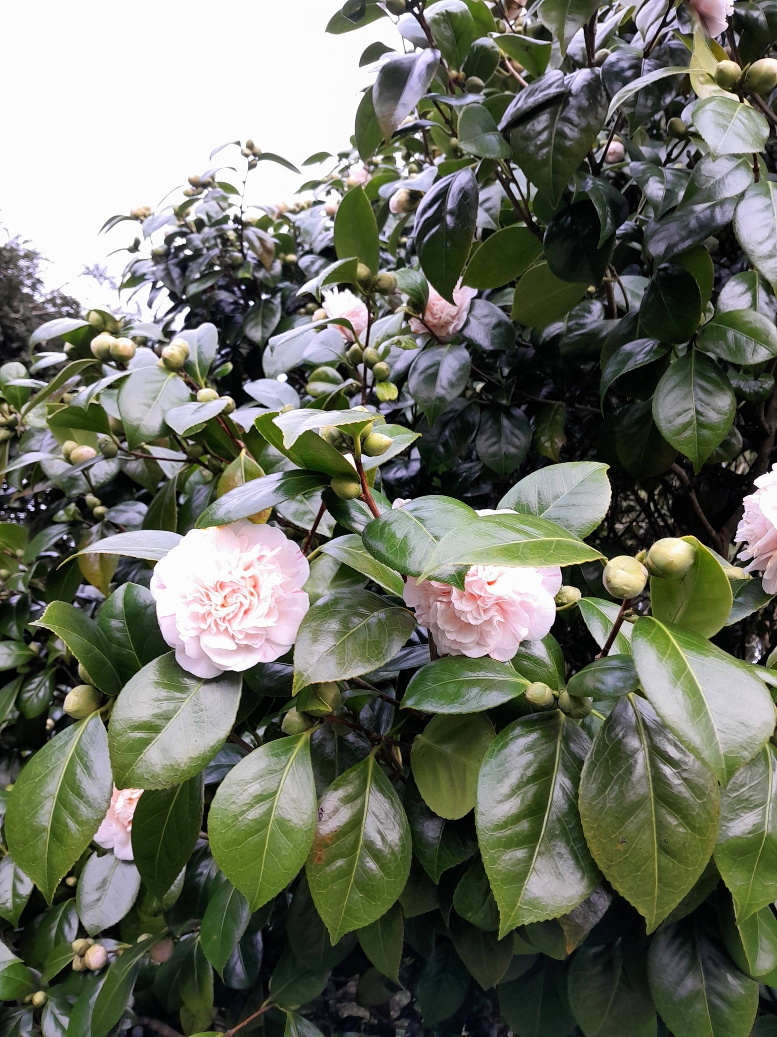 No Winter Lasts Forever